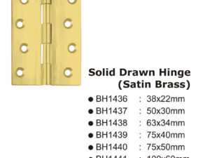 Solid Drawn Hinge(Satin Brass) -100X6Omm