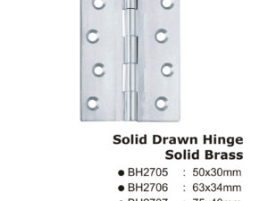 Solid Drawn Hinge - Solid Brass -75X4Omm