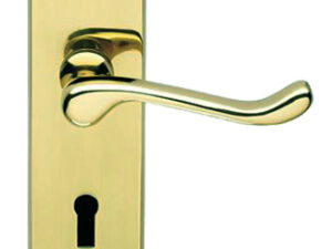 Caterham Polished Brass Door Handles (Sold In Pairs)