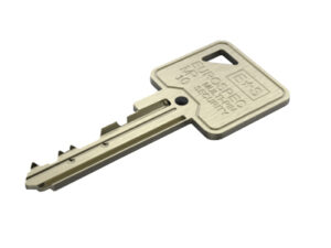 Eurospec Master Key For 10 Pin Cylinders - Silver Finish