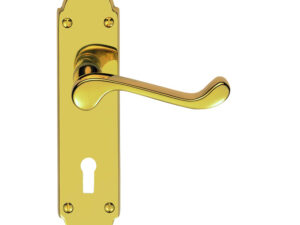 Oakley Door Handles On Backplate, Pvd Stainless Brass (Sold In Pairs)