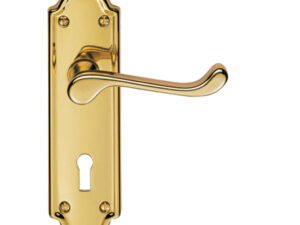 Ashtead Door Handles On Backplate, Pvd Stainless Brass (Sold In Pairs)