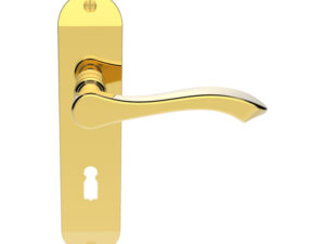 Andros Door Handles On Backplate, Polished Brass (Sold In Pairs)