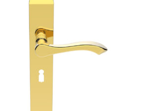 Andros Door Handles On Long Backplate, Polished Brass (Sold In Pairs)