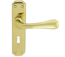 Eden Door Handles On Backplate, Polished Brass (Sold In Pairs)