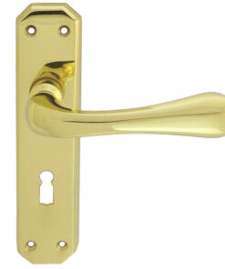 Eden Door Handles On Backplate, Polished Brass (Sold In Pairs)