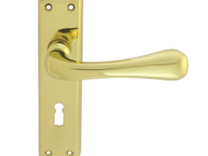 Eden Door Handles On Backplate, Polished Brass (Sold In Pairs)