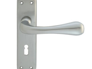 Eden Door Handles On Backplate, Satin Chrome (Sold In Pairs)