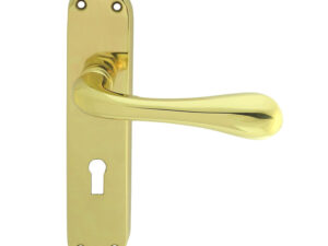 Manital Astro Door Handles On Backplate, Polished Brass (Sold In Pairs)