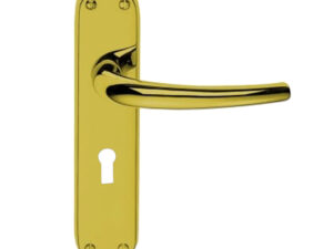 Manital Lilla Door Handles On Backplate, Polished Brass (Sold In Pairs)