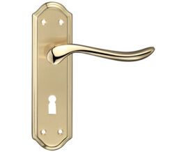 Zoo Hardware Fulton & Bray Lincoln Door Handles On Backplate, Dual Finish Satin Brass & Polished Brass (Sold In Pairs)