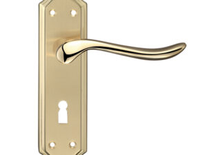 Zoo Hardware Fulton & Bray Lincoln Door Handles On Backplate, Dual Finish Satin Brass & Polished Brass (Sold In Pairs)