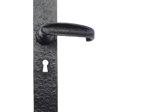 Zoo Hardware Foxcote Foundries Traditional Door Handles On Long Backplate, Black Antique (Sold In Pairs)