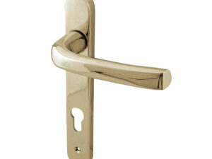 Frelan Hardware Pvcu Lever Door Handles (220Mm Backplate - 92Mm C/C Euro Lock), Pvd Stainless Brass