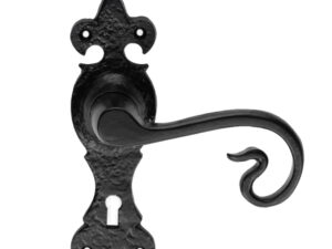 Ludlow Foundries Curly Tail Door Handles On Gothic Backplate, Black Antique (Sold In Pairs)