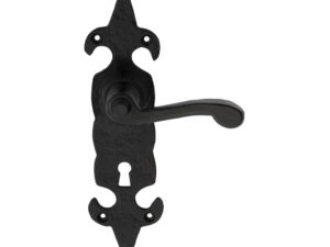 Ludlow Foundries Fleur De Lys Door Handles On Backplate, Black Antique - Lf5504 (Sold In Pairs)