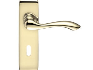 Zoo Hardware Project Range Arundel Door Handles On Backplate, Electro Brass (Sold In Pairs)