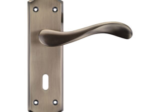 Zoo Hardware Project Range Asti Door Handles On Backplate, Florentine Bronze (Sold In Pairs)