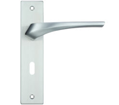 Zoo Hardware Rosso Maniglie Aries Door Handles On Backplate, Satin Chrome (Sold In Pairs)