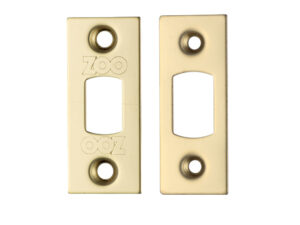 Zoo Hardware Face Plate And Strike Plate Accessory Pack, Pvd Stainless Brass