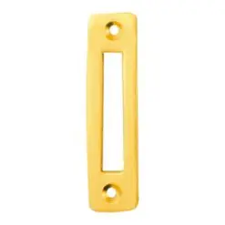 Mortice Plate (Fastener)
