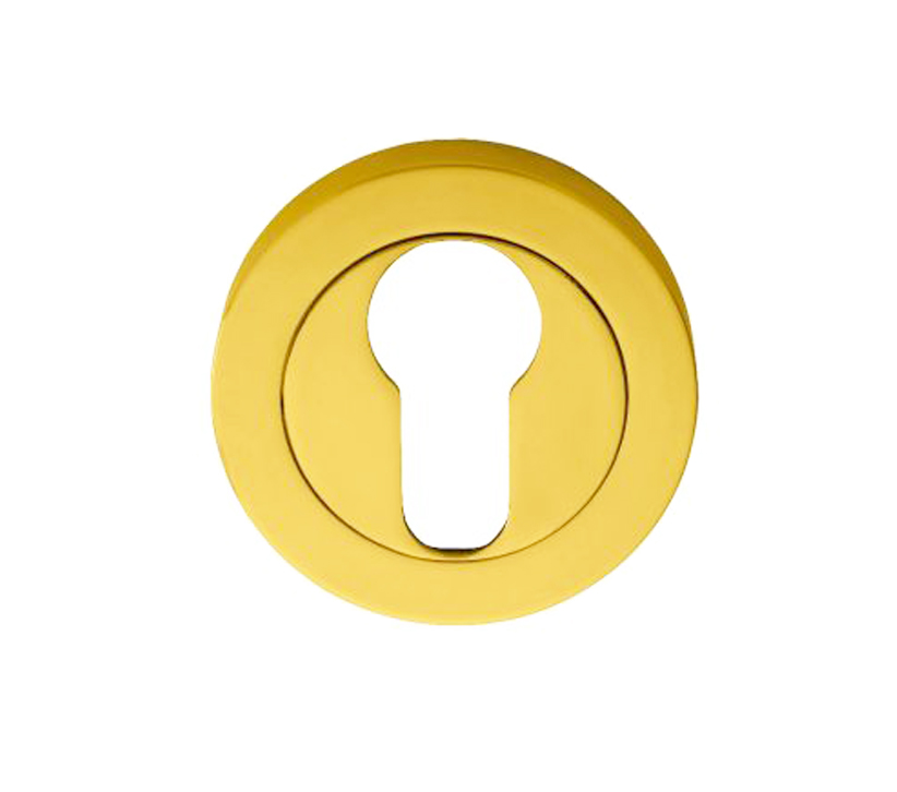 Manital Euro Profile Concealed Fix Escutcheon, Polished Brass