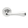 Polished Chrome