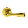 Polished Brass