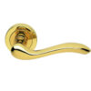 Polished Brass