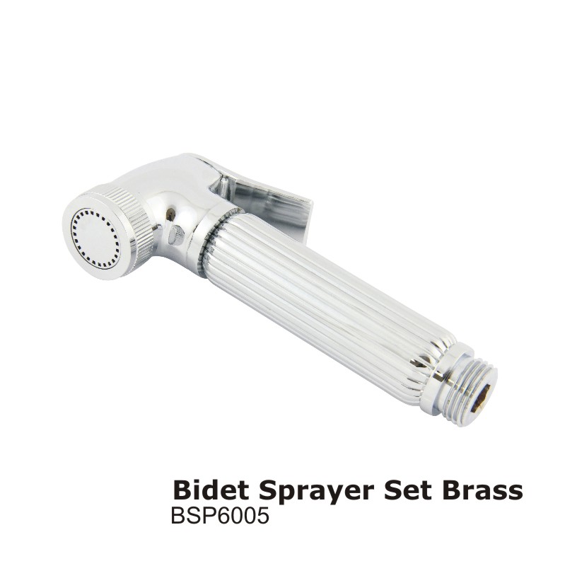 Bidet Sprayer Set Brass