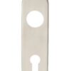 Eurospec CPRE1170/72SSS 174 X 45 X 8mm Steelworx Radius Backplates - Lock Euro Profile (72mm C/C) 170mm x 45mm x 8mm Satin Stainless Steel