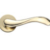 Zoo Hardware Da-T Imola Pvd Brass Door Handles (Sold In Pairs)