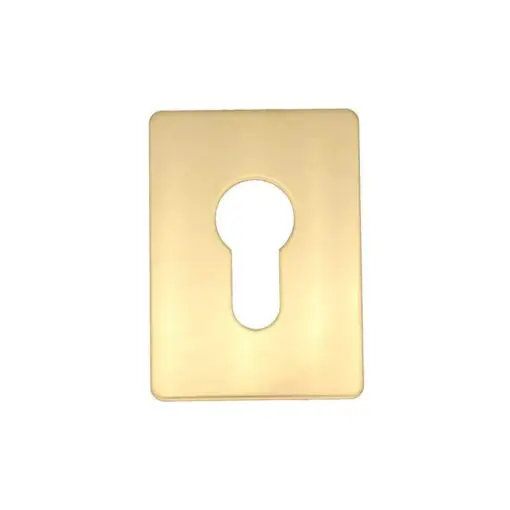 Square Euro Escutcheon - 50mm - Polished Brass