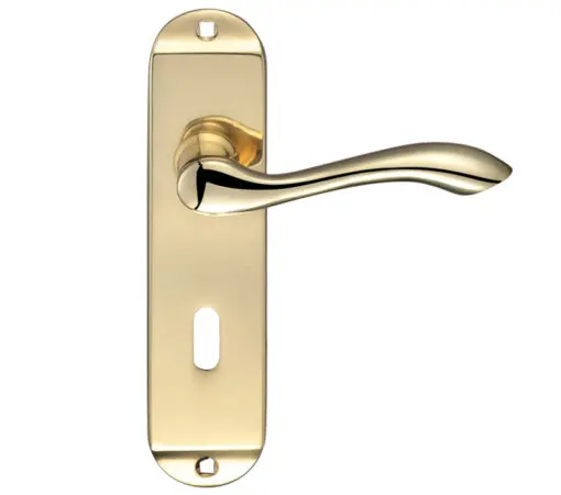 Zoo Hardware Fulton & Bray Arundel Door Handles On Backplate, Polished Brass (Sold In Pairs)