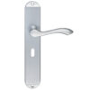 Arundel Door Handles On Long Backplate