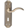 Zoo Hardware Fulton & Bray Winchester Door Handles On Backplate, Florentine Bronze (Sold In Pairs)