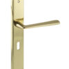 Forme Brigette Solid Brass Key Lever Door Handle on Backplate - Polished Brass