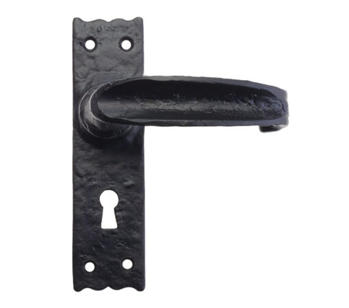 Zoo Hard Foxcote Foundries Traditional Slimline Door Handles On Backplate, Black Antique (Sold In Pairs)