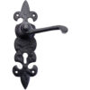 Zoo Hardware Foxcote Foundries Fleur De Lys Door Handles On Backplate, Black Antique (Sold In Pairs)