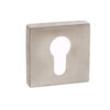 Forme Euro Escutcheons on Minimal Square Rose - Satin Nickel