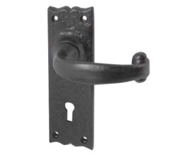 Regal Door Handles On Backplate, Black Antique (sold in pairs)