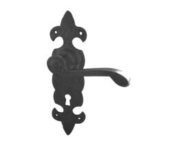 Fleur De Lys Door Handles On Backplate, Black Antique (sold in pairs)