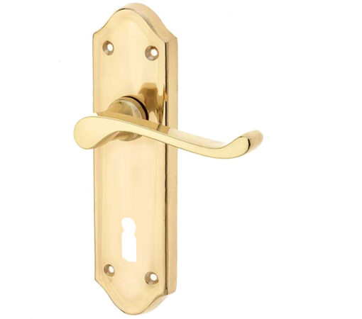 Sherborne Door Handles On Backplate