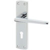 Bray Suite Door Handles On Backplate