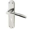 Gull Door Handles On Backplate