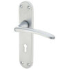 Gull Door Handles On Backplate