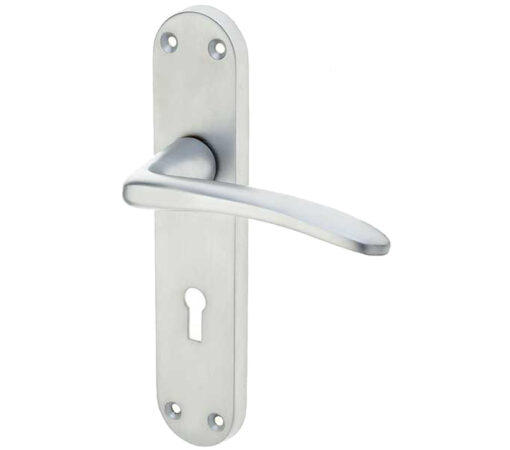 Gull Door Handles On Backplate