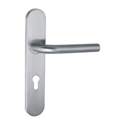 Ss Handle On Backplate -245 X 45 X - 10Mm Thickness - 135Mm Handle