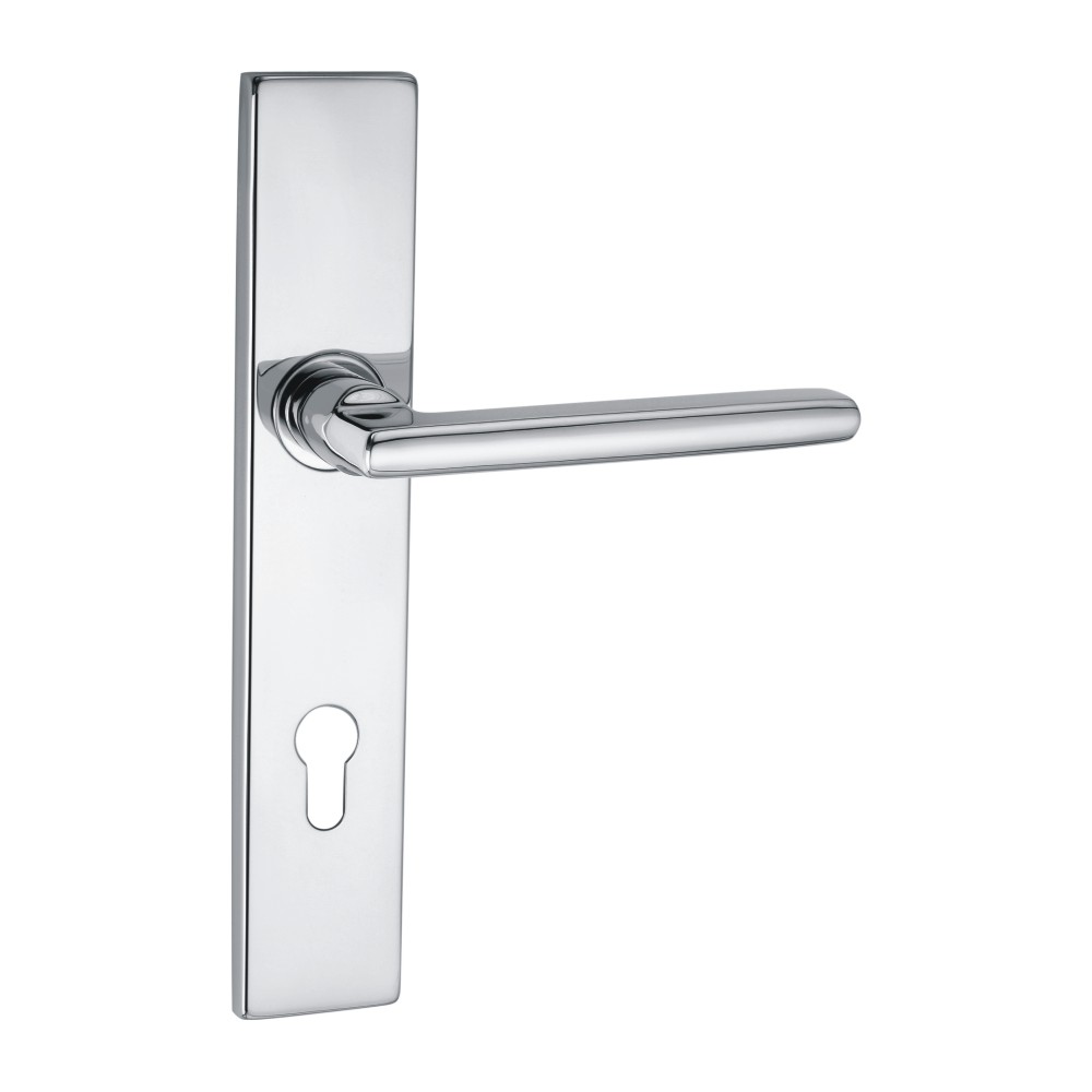 Ss Handle On Backplate -245 X 45 X - 10Mm Thickness - 135Mm Handle