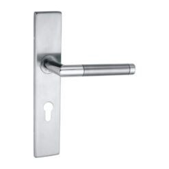 Ss Handle On Backplate -245 X 45 X - 10Mm Thickness - 135Mm Handle